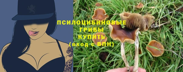 apvp Баксан
